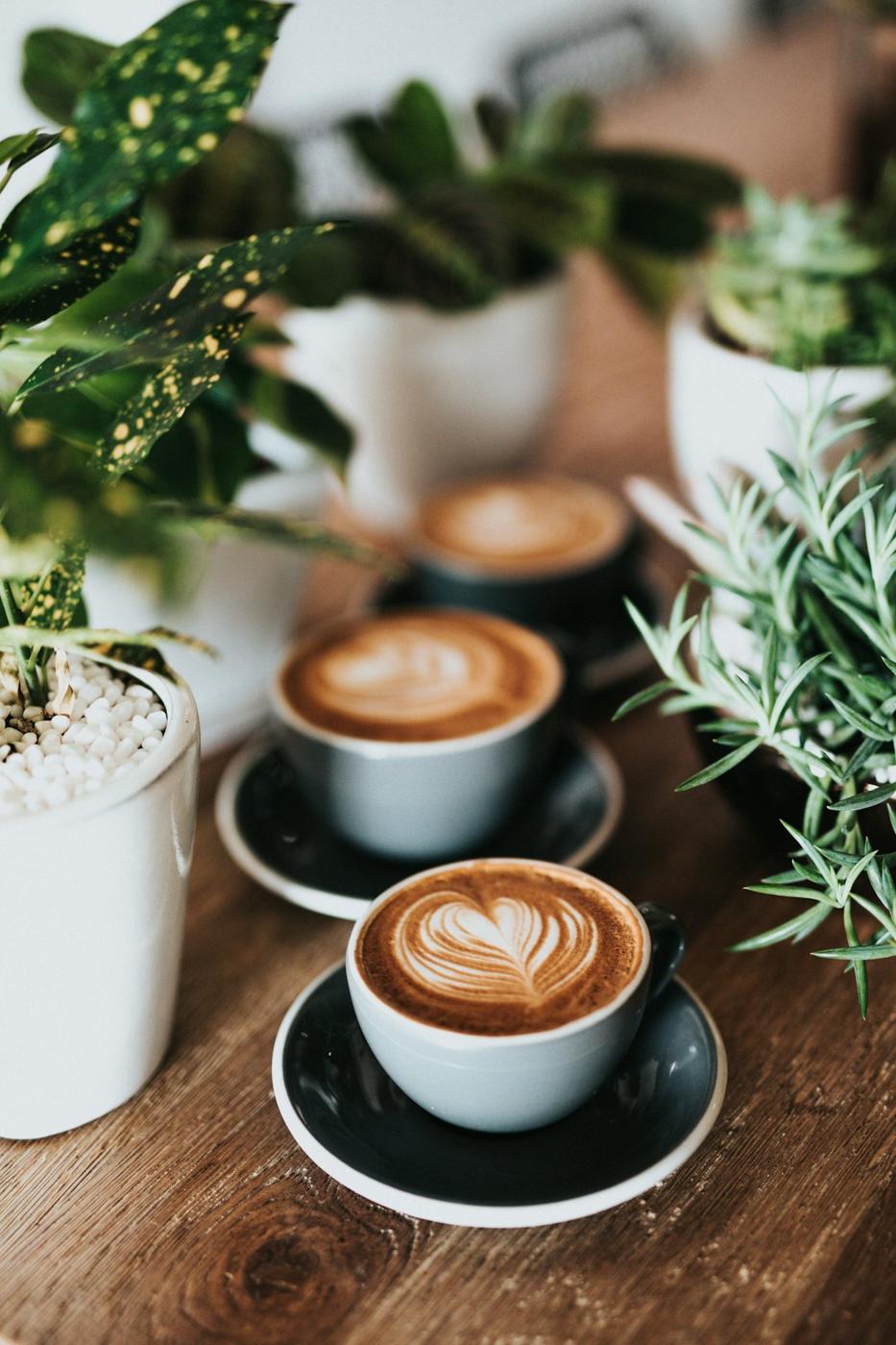 Tazas de café con arte latte entre plantas