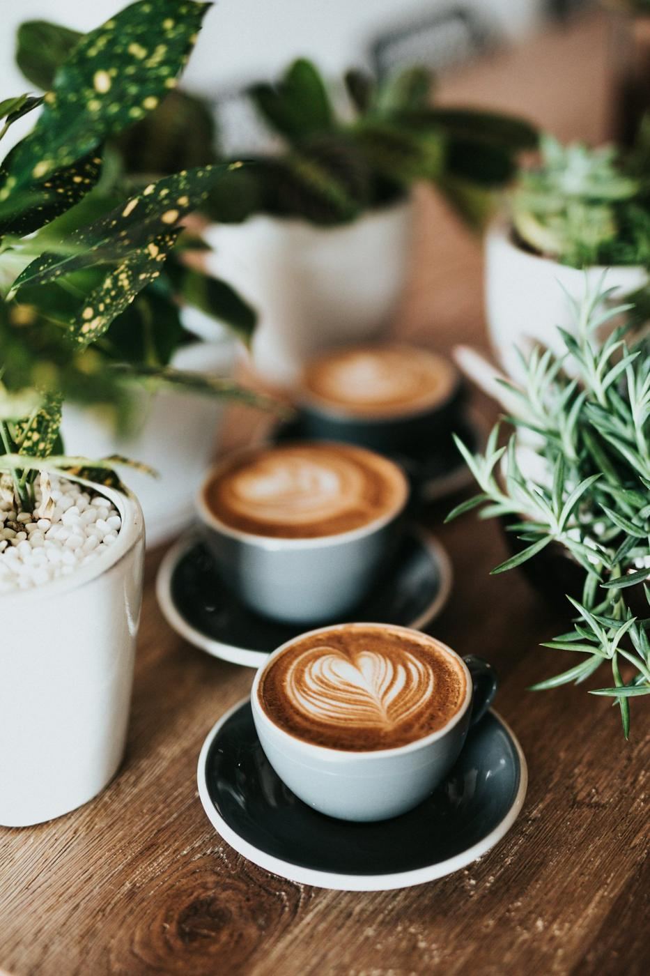 Mostrador de una cafetería de barrio